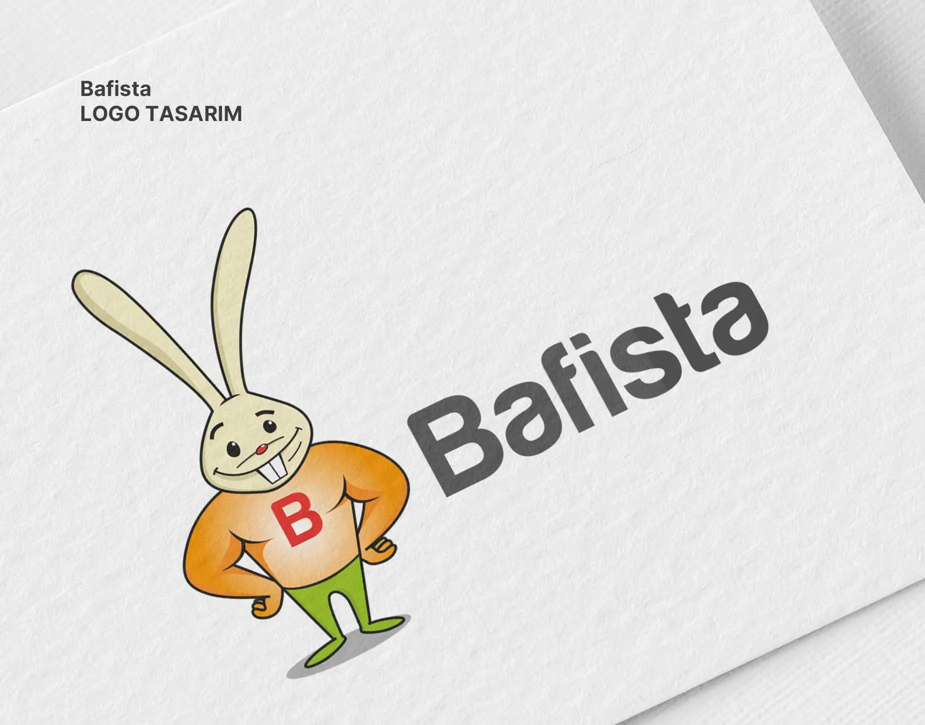Bafista proje görünümü