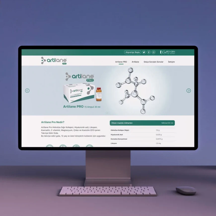 ARTILANE PRO proje görseli